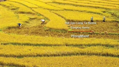 Hotspot Matrix và Chuyển đổi số – chuyên ngành học của tương lai vừa “đổ bộ” Trường Đại_Video ngắn cho doanh nghiệp nhỏ