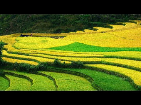 Mẹ đơn thân ở Vĩnh Yên và hành trình tìm lại chính mình cùng Hotspot Matrix_video đánh giá sản phẩm