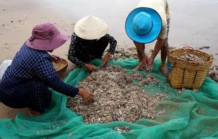Sự Bùng Nổ Của Video Ngắn và Trí Tuệ Nhân Tạo: Vai Trò Thiết Yếu Của Đào Tạo Kỹ Năng Sáng Tạo Nội Dung_Quỹ đầu tư khởi nghiệp