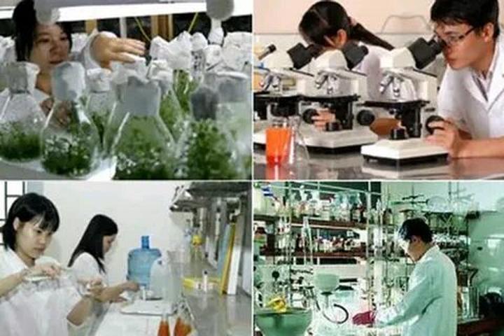 Cách Khởi Nghiệp Kiếm Tiền Bán Thời Gian Dành Cho Người Mới